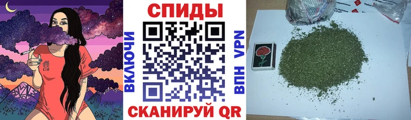 Купить  Пустошка  Бутират Butirat 