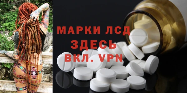 ПСИЛОЦИБИНОВЫЕ ГРИБЫ Киреевск
