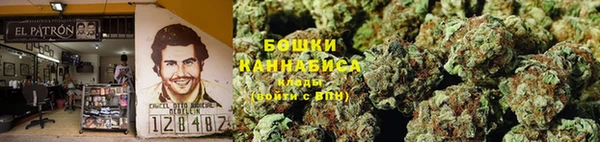 гидра Кодинск