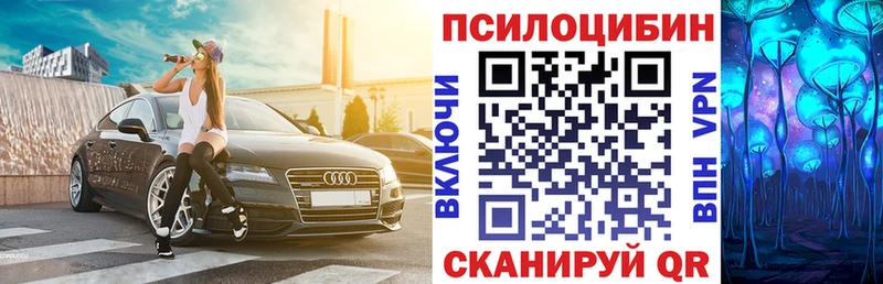 Купить где  Пустошка  Псилоцибиновые грибы Psilocybine cubensis 